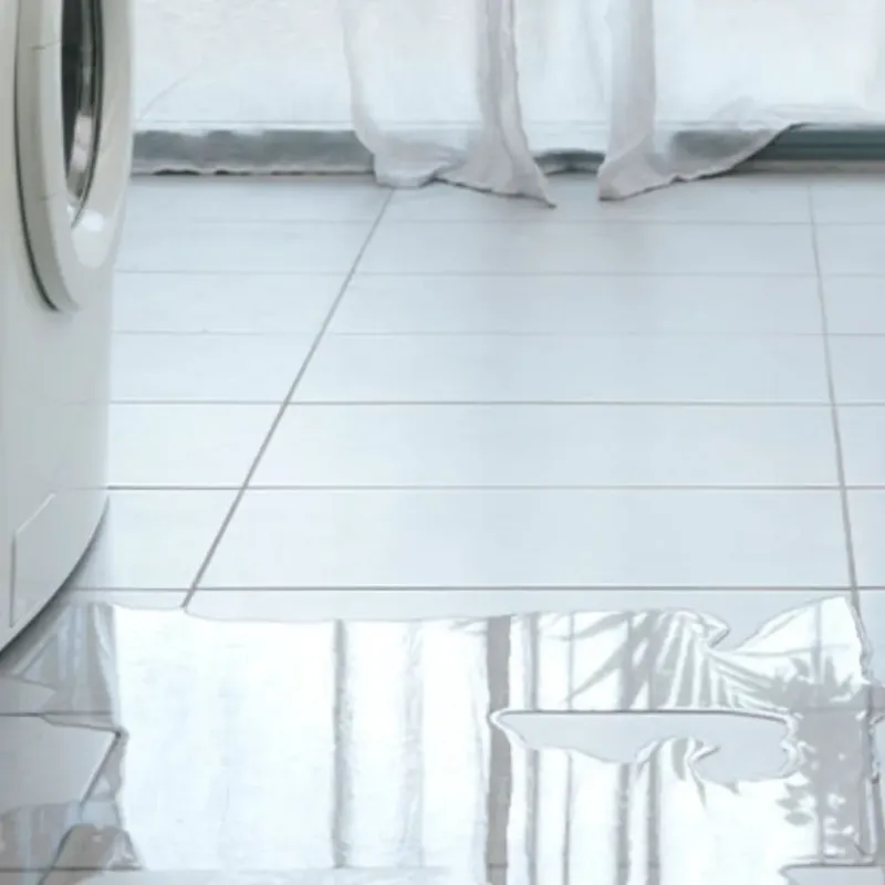 Appliance Leak Cleanup in Wicomico County, MD