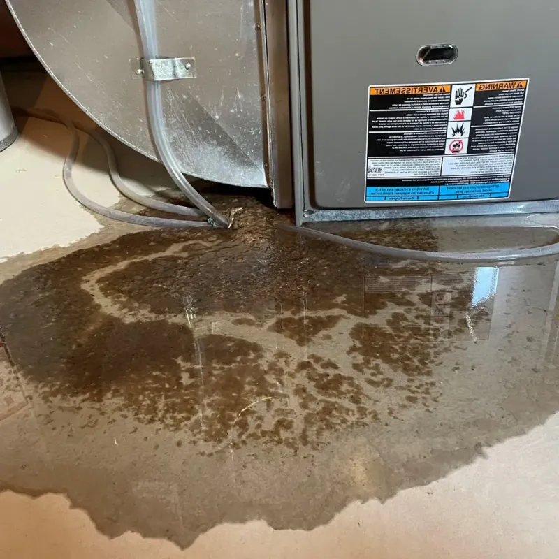Pipe Burst and Leak Restoration in Wicomico County, MD